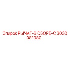 3030081980 РЫЧАГ-В СБОРЕ-C Epiroc