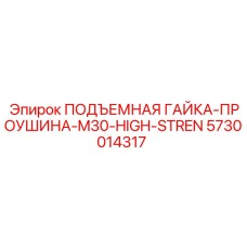 5730014317 ПОДЪЕМНАЯ ГАЙКА-ПРОУШИНА-M30-HIGH-STREN Epiroc