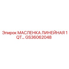 GS36062048 МАСЛЕНКА ЛИНЕЙНАЯ 1QT Epiroc