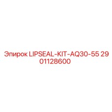 2901128600 LIPSEAL-KIT-AQ30-55 Epiroc