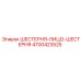4700423525 ШЕСТЕРНЯ-ЛИЦО-ШЕСТЕРНЯ Epiroc