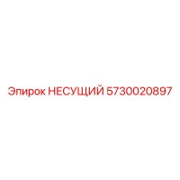 5730020897 НЕСУЩИЙ Epiroc