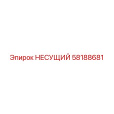 Деталь НЕСУЩИЙ 58188681 производителя Epiroc