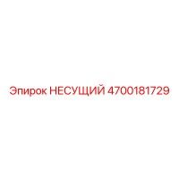 4700181729 НЕСУЩИЙ Epiroc