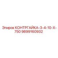 9899160932 КОНТРГАЙКА-3-4-10-Х-750 Эпирок