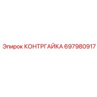 КОНТРГАЙКА 697980917 Epiroc