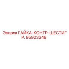 95923348 ГАЙКА-КОНТР-ШЕСТИГР. Epiroc