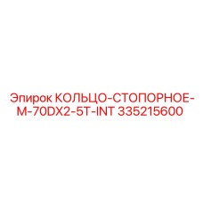 335215600 КОЛЬЦО-СТОПОРНОЕ-M-70DX2-5T-INT Epiroc