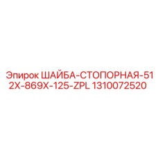 1310072520 ШАЙБА-СТОПОРНАЯ-512X-869X-125-ZPL Epiroc