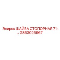 GS63026967 ШАЙБА СТОПОРНАЯ 71-… Epiroc