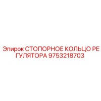 9753218703 СТОПОРНОЕ КОЛЬЦО РЕГУЛЯТОРА Epiroc