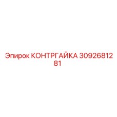 3092681281 КОНТРГАЙКА от Epiroc