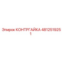 4812519251 КОНТРГАЙКА Epiroc