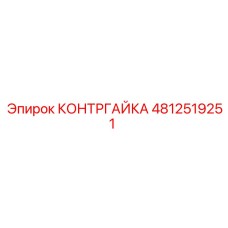 4812519251 КОНТРГАЙКА Epiroc
