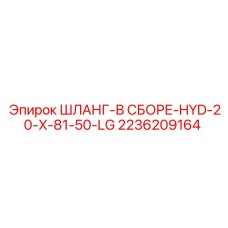 2236209164 ШЛАНГ-В СБОРЕ-HYD-20-X-81-50-LG Epiroc