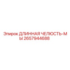 2657944688 ДЛИННАЯ ЧЕЛЮСТЬ-МЫ Epiroc