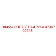 4700702748 ЛОПАСТНАЯ РУКА Epiroc