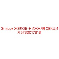 5730017818 ЖЕЛОБ-НИЖНЯЯ СЕКЦИЯ Epiroc