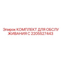 2205527443 КОМПЛЕКТ ДЛЯ ОБСЛУЖИВАНИЯ C Epiroc