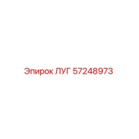 57248973 Lug Epiroc