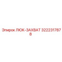 3222317878 ЛЮК-ЗАХВАТ (Epiroc)