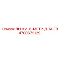 4700679129 ЛЫЖИ-6-МЕТР-ДЛЯ-F8 Epiroc