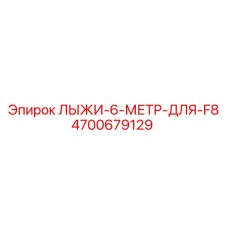 4700679129 ЛЫЖИ-6-МЕТР-ДЛЯ-F8 Epiroc