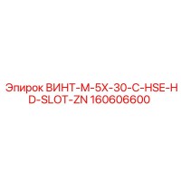 160606600 ВИНТ-M-5X-30-C-HSE-HD-SLOT-ZN Эпирок