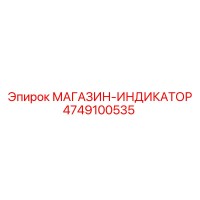 4749100535 МАГАЗИН-ИНДИКАТОР Epiroc
