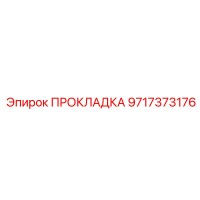 9717373176 ПРОКЛАДКА Epiroc