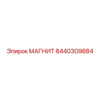 8440309884 МАГНИТ Epiroc