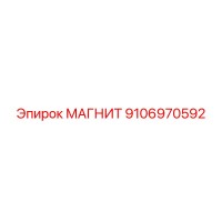 9106970592 МАГНИТ Epiroc