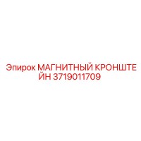 3719011709 МАГНИТНЫЙ КРОНШТЕЙН Epiroc