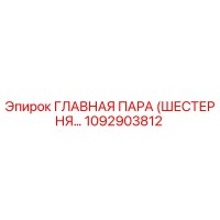 1092903812 ГЛАВНАЯ ПАРА (ШЕСТЕРНЯ…) Epiroc