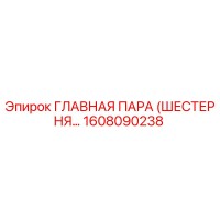 1608090238 ГЛАВНАЯ ПАРА (ШЕСТЕРНЯ…) Epiroc