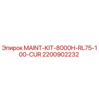 2200902232 MAINT-KIT-8000H-RL75-100-CUR Epiroc