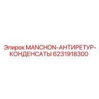 6231918300 MANCHON-АНТИРЕТУР-КОНДЕНСАТЫ Epiroc