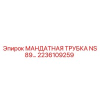 2236109259 МАНДАТНАЯ ТРУБКА NS89 Эпирок (Epiroc)