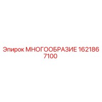 1621867100 МНОГООБРАЗИЕ (Epiroc)