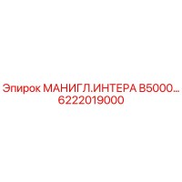 6222019000 МАНИГЛ.ИНТЕРА B5000 Эпирок