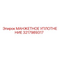 3217989317 МАНЖЕТНОЕ УПЛОТНЕНИЕ Epiroc