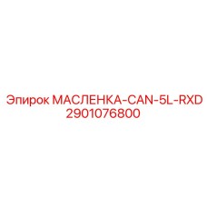 2901076800 МАСЛЕНКА-CAN-5L-RXD Epiroc