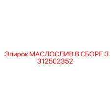 3312502352 МАСЛОСЛИВ В СБОРЕ Epiroc
