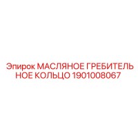 1901008067 МАСЛЯНОЕ ГРЕБИТЕЛЬНОЕ КОЛЬЦО Epiroc