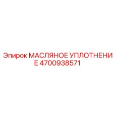 4700938571 МАСЛЯНОЕ УПЛОТНЕНИЕ Epiroc