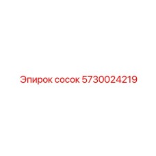 5730024219 сосок Epiroc