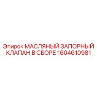 1604610981 МАСЛЯНЫЙ ЗАПОРНЫЙ КЛАПАН В СБОРЕ Epiroc