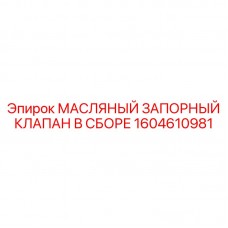 Масляный запорный клапан в сборе 1604610981 Epiroc