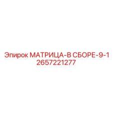 2657221277 МАТРИЦА-В СБОРЕ-9-1 Epiroc