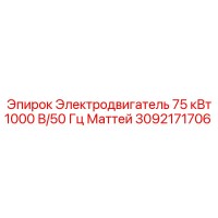 3092171706 Электродвигатель 75 кВт 1000 В/50 Гц Маттей Epiroc